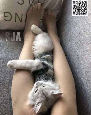 中文性频暴力_高清点播免费观看最新